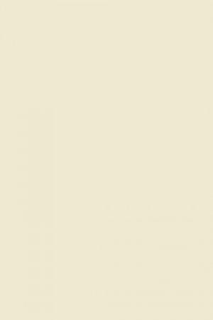 FARROW AND BALL NEW WHITE NO. 59 PAINT